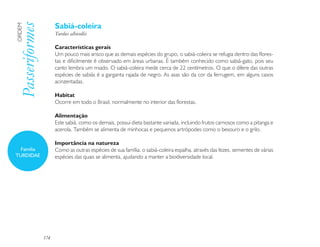 Sabiá-coleira
Passeriformes
ORDEM

                      Turdus albicollis

                      Características gerais
                      Um pouco mais arisco que as demais espécies do grupo, o sabiá-coleira se refugia dentro das flores-
                      tas e dificilmente é observado em áreas urbanas. É também conhecido como sabiá-gato, pois seu
                      canto lembra um miado. O sabiá-coleira mede cerca de 22 centímetros. O que o difere das outras
                      espécies de sabiás é a garganta rajada de negro. As asas são da cor da ferrugem, em alguns casos
                      acinzentadas.

                      Habitat
                      Ocorre em todo o Brasil, normalmente no interior das florestas.

                      Alimentação
                      Este sabiá, como os demais, possui dieta bastante variada, incluindo frutos carnosos como a pitanga e
                      acerola. Também se alimenta de minhocas e pequenos artrópodes como o besouro e o grilo.

                      Importância na natureza
  Família             Como as outras espécies de sua família, o sabiá-coleira espalha, através das fezes, sementes de várias
TURDIDAE              espécies das quais se alimenta, ajudando a manter a biodiversidade local.




                174
 