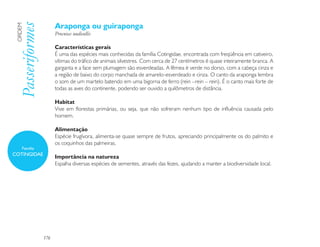 Araponga ou guiraponga
 Passeriformes
 ORDEM

                       Procnias nudicollis

                       Características gerais
                       É uma das espécies mais conhecidas da família Cotingidae, encontrada com freqüência em cativeiro,
                       vítimas do tráfico de animais silvestres. Com cerca de 27 centímetros é quase inteiramente branca. A
                       garganta e a face sem plumagem são esverdeadas. A fêmea é verde no dorso, com a cabeça cinza e
                       a região de baixo do corpo manchada de amarelo-esverdeado e cinza. O canto da araponga lembra
                       o som de um martelo batendo em uma bigorna de ferro (rein –rein – rein). É o canto mais forte de
                       todas as aves do continente, podendo ser ouvido a quilômetros de distância.

                       Habitat
                       Vive em florestas primárias, ou seja, que não sofreram nenhum tipo de influência causada pelo
                       homem.

                       Alimentação
                       Espécie frugívora, alimenta-se quase sempre de frutos, apreciando principalmente os do palmito e
                       os coquinhos das palmeiras.
     Família
COTINGIDAE
                       Importância na natureza
                       Espalha diversas espécies de sementes, através das fezes, ajudando a manter a biodiversidade local.




                 176
 
