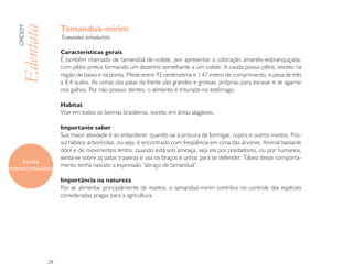 Tamanduá-mirim
   ORDEM

   Edentata          Tamandua tetradactyla

                     Características gerais
                     É também chamado de tamanduá-de-colete, por apresentar a coloração amarelo-esbranquiçada,
                     com pêlos pretos formando um desenho semelhante a um colete. A cauda possui pêlos, exceto na
                     região de baixo e na ponta. Mede entre 93 centímetros e 1,47 metro de comprimento, e pesa de três
                     a 8,4 quilos. As unhas das patas da frente são grandes e grossas, próprias para escavar e se agarrar
                     nos galhos. Por não possuir dentes, o alimento é triturado no estômago.

                     Habitat
                     Vive em todos os biomas brasileiros, exceto em áreas alagáveis.

                     Importante saber
                     Sua maior atividade é ao entardecer, quando sai à procura de formigas, cupins e outros insetos. Pos-
                     sui hábitos arborícolas, ou seja, é encontrado com freqüência em cima das árvores. Animal bastante
                     dócil e de movimentos lentos, quando está sob ameaça, seja ela por predadores, ou por humanos,
                     senta-se sobre as patas traseiras e usa os braços e unhas para se defender. Talvez desse comporta-
      Família
                     mento tenha nascido a expressão “abraço de tamanduá”.
MYRMERCOPHAGIDAE

                     Importância na natureza
                     Por se alimentar principalmente de insetos, o tamanduá-mirim contribui no controle das espécies
                     consideradas pragas para a agricultura.




                28
 