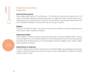 Cachorro-do-mato
ORDEM

Carnivora        Cerdocyon thous

                 Características gerais
                 Esse canídeo pode medir de 92 centímetros a 1,20 metros de comprimento e pesar entre 5 e 8
                 quilos. É facilmente identificado quando observamos na região das costas uma linha preta, que se
                 estende da nuca até a base do rabo. O cachorro-do-mato possui uma coloração basicamente cinza,
                 com tonalidades amareladas. Os jovens são mais escuros que os adultos.

                 Habitat
                 É comum em áreas florestadas, mas pode ser encontrado em campos e cerrado. Está presente em
                 todo o Brasil, exceto na planície amazônica.

                 Importante Saber
                 Animal solitário, só anda em grupos na época da reprodução. Durante as atividades diárias, costuma
                 marcar território com urina, comportamento normal em grande parte dos carnívoros que precisam
                 de grandes áreas de floresta para viver. Sua alimentação consiste de vegetais, frutas, insetos, répteis,
                 aves e pequenos mamíferos.
  Família
 CANIDAE
                 Importância na natureza
                 É um bom dispersor de sementes. Contribui para o controle biológico das populações de pequenos
                 roedores, não permitindo que aumentem em excesso, e assim desequilibrem o ambiente, invadindo
                 as áreas urbanas e rurais.




            32
 