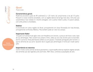 Quati
 ORDEM

 Carnivora        Nasua nasua

                  Características gerais
                  Podemos encontrar quatis de 89 centímetros a 1,25 metro de comprimento e de até 10 quilos.
                  Possuem o corpo cinzento-amarelado, com as regiões laterais da barriga mais clara. Uma das suas
                  características mais notadas é o focinho alongado, com a ponta móvel e preta. A cauda é peluda,
                  com anéis pretos e amarelados.

                  Habitat
                  É encontrado em várias regiões do Brasil, principalmente em áreas florestadas de mata fechada,
                  principalmente na Floresta Atlântica. Mas também pode ser visto nos campos.

                  Importante Saber
                   O quati é um animal muito ágil e visto com freqüência em árvores, a procura de frutos e aves, base
                  de sua alimentação. Não constrói seu próprio ninho, utiliza os ocos das árvores para se esconder,
                  dormir e procriar. Anda pela floresta solitário ou em grupos. É bastante perseguido pelo homem, o
                  qual se alimenta de sua carne. Quando não é caçado para alimentação é morto por invadir planta-
   Família        ções.
PROCYONIDAE
                  Importância na natureza
                  Como muitos outros animais da fauna paranaense, o quati espalha diversas espécies vegetais através
                  das sementes que são ingeridas junto aos frutos. Além disso, controla as populações de aves.




             36
 