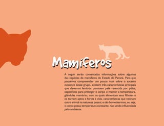 A seguir serão comentadas informações sobre algumas
das espécies de mamíferos do Estado do Paraná. Para que
possamos compreender um pouco mais sobre o sucesso
evolutivo desse grupo, existem três características principais
que devemos lembrar: possuem pele revestida por pêlos,
específicos para proteger o corpo e manter a temperatura,
glândulas mamárias, com as quais alimentam seus filhotes e
os tornam aptos e fortes à vida, características que nenhum
outro animal na natureza possui; e são homeotermos, ou seja,
o corpo possui temperatura constante, não sendo influenciada
pelo ambiente.
 