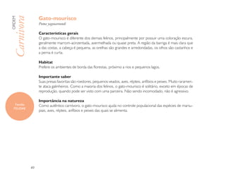 Gato-mourisco
ORDEM

Carnivora         Puma yagouaroundi

                  Características gerais
                  O gato-mourisco é diferente dos demais felinos, principalmente por possuir uma coloração escura,
                  geralmente marrom-acinzentada, avermelhada ou quase preta. A região da barriga é mais clara que
                  a das costas, a cabeça é pequena, as orelhas são grandes e arredondadas, os olhos são castanhos e
                  a perna é curta.

                  Habitat
                  Prefere os ambientes de borda das florestas, próximo a rios e pequenos lagos.

                  Importante saber
                  Suas presas favoritas são roedores, pequenos veados, aves, répteis, anfíbios e peixes. Muito raramen-
                  te ataca galinheiros. Como a maioria dos felinos, o gato-mourisco é solitário, exceto em épocas de
                  reprodução, quando pode ser visto com uma parceira. Não sendo incomodado, não é agressivo.

                  Importância na natureza
   Família        Como autêntico carnívoro, o gato-mourisco ajuda no controle populacional das espécies de marsu-
  FELIDAE
                  piais, aves, répteis, anfíbios e peixes das quais se alimenta.




             40
 