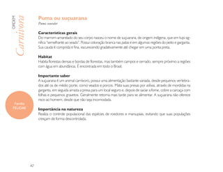 Puma ou suçuarana
ORDEM

Carnivora        Puma concolor

                 Características gerais
                 Do marrom-amarelado do seu corpo nasceu o nome de suçuarana, de origem indígena, que em tupi sig-
                 nifica “semelhante ao veado”. Possui coloração branca nas patas e em algumas regiões do peito e garganta.
                 Sua cauda é comprida e fina, escurecendo gradativamente até chegar em uma ponta preta.

                 Habitat
                 Habita florestas densas e bordas de florestas, mas também campos e cerrado, sempre próximo a regiões
                 com água em abundância. É encontrada em todo o Brasil.

                 Importante saber
                 A suçuarana é um animal carnívoro, possui uma alimentação bastante variada, desde pequenos vertebra-
                 dos até os de médio porte, como veados e porcos. Mata suas presas por asfixia, através de mordidas na
                 garganta, em seguida arrasta a presa para um local seguro e, depois de saciar a fome, cobre a carcaça com
                 folhas e pequenos gravetos. Geralmente retorna mais tarde para se alimentar. A suçuarana não oferece
                 risco ao homem, desde que não seja incomodada.
  Família
 FELIDAE         Importância na natureza
                 Realiza o controle populacional das espécies de roedores e marsupiais, evitando que suas populações
                 cresçam de forma descontrolada.




            42
 