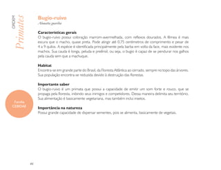 Bugio-ruivo
ORDEM

Primates         Alouatta guariba

                 Características gerais
                 O bugio-ruivo possui coloração marrom-avermelhada, com reflexos dourados. A fêmea é mais
                 escura que o macho, quase preta. Pode atingir até 0,75 centímetros de comprimento e pesar de
                 4 a 9 quilos. A espécie é identificada principalmente pela barba em volta da face, mais evidente nos
                 machos. Sua cauda é longa, peluda e preênsil, ou seja, o bugio é capaz de se pendurar nos galhos
                 pela cauda sem que a machuque.

                 Habitat
                 Encontra-se em grande parte do Brasil, da Floresta Atlântica ao cerrado, sempre no topo das árvores.
                 Sua população encontra-se reduzida devido à destruição das florestas.

                 Importante saber
                 O bugio-ruivo é um primata que possui a capacidade de emitir um som forte e rouco, que se
                 propaga pela floresta, inibindo seus inimigos e competidores. Dessa maneira delimita seu território.
                 Sua alimentação é basicamente vegetariana, mas também inclui insetos.
  Família
 CEBIDAE
                 Importância na natureza
                 Possui grande capacidade de dispersar sementes, pois se alimenta, basicamente de vegetais.




            46
 
