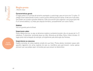 Bugio-preto
Primates
ORDEM

                 Alouatta caraya

                 Características gerais
                 O bugio-preto é um primata de tamanho avantajado e cauda longa, pesa em torno de 7,3 quilos. O
                 polegar é bem desenvolvido e tanto o macho quanto a fêmea possuem barba. Emite sons muito altos,
                 que podem ser ouvidos a grandes distâncias. Estes sons servem para organizar o seu grupo (pois não
                 é um animal solitário), ou então para disputar território, provavelmente com outro macho.

                 Habitat
                 Vive em grande parte do Brasil.

                 Importante saber
                 Possui hábitos diurnos, ou seja, se alimenta e explora o ambiente durante o dia, em grupos de 3 a 19
                 indivíduos. É arborícola, raramente desce ao chão. Alimenta-se de folhas, flores, frutos e brotos. O
                 bugio-preto está ameaçado de extinção, principalmente pela destruição das florestas.

                 Importância na natureza
  Família        Espalha sementes de várias espécies através de suas fezes. Muitas plantas necessitam passar pelo
 CEBIDAE         aparelho digestório de certas espécies de aves ou mamíferos para germinarem, outras apenas
                 precisam que suas polpas sejam removidas para que possam se desenvolver.




            48
 