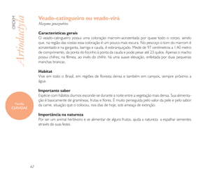 Veado-catingueiro ou veado-virá
ORDEM

Artiodactyla        Mazama gouazoubira

                    Características gerais
                    O veado-catingueiro possui uma coloração marrom-acinzentada por quase todo o corpo, sendo
                    que, na região das costas essa coloração é um pouco mais escura. No pescoço o tom do marrom é
                    acinzentado e na garganta, barriga e cauda, é esbranquiçado. Mede de 97 centímetros a 1,40 metro
                    de comprimento, da ponta do focinho à ponta da cauda e pode pesar até 23 quilos. Apenas o macho
                    possui chifres; na fêmea, ao invés do chifre, há uma suave elevação, enfeitada por duas pequenas
                    manchas brancas.

                    Habitat
                    Vive em todo o Brasil, em regiões de floresta densa e também em campos, sempre próximo a
                    água.

                    Importante saber
                    Espécie com hábitos diurnos esconde-se durante a noite entre a vegetação mais densa. Sua alimenta-
                    ção é basicamente de gramíneas, frutas e flores. É muito perseguida pelo valor da pele e pelo sabor
   Família          da carne, situação que o colocou, nos dias de hoje, sob ameaça de extinção.
CERVIDAE
                    Importância na natureza
                    Por ser um animal herbívoro e se alimentar de alguns frutos, ajuda a natureza a espalhar sementes
                    através de suas fezes.




               62
 
