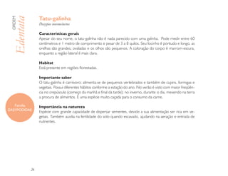 Tatu-galinha
 ORDEM

 Edentata        Dasypus novemcinctus

                 Características gerais
                 Apesar do seu nome, o tatu-galinha não é nada parecido com uma galinha. Pode medir entre 60
                 centímetros e 1 metro de comprimento e pesar de 3 a 8 quilos. Seu focinho é pontudo e longo, as
                 orelhas são grandes, ovaladas e os olhos são pequenos. A coloração do corpo é marrom-escura,
                 enquanto a região lateral é mais clara.

                 Habitat
                 Está presente em regiões florestadas.

                 Importante saber
                 O tatu-galinha é carnívoro; alimenta-se de pequenos vertebrados e também de cupins, formigas e
                 vegetais. Possui diferentes hábitos conforme a estação do ano. No verão é visto com maior freqüên-
                 cia no crepúsculo (começo da manhã e final da tarde); no inverno, durante o dia, mexendo na terra
                 a procura de alimentos. É uma espécie muito caçada para o consumo da carne.

   Família       Importância na natureza
DASYPODIDAE
                 Espécie com grande capacidade de dispersar sementes, devido a sua alimentação ser rica em ve-
                 getais. Também auxilia na fertilidade do solo quando escavado, ajudando na aeração e entrada de
                 nutrientes.




            26
 