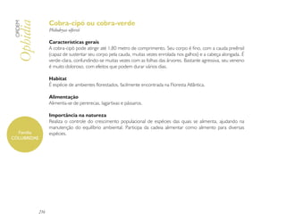Cobra-cipó ou cobra-verde
 ORDEM

 Ophidia         Philodryas olfersii

                 Características gerais
                 A cobra-cipó pode atingir até 1,80 metro de comprimento. Seu corpo é fino, com a cauda preênsil
                 (capaz de sustentar seu corpo pela cauda, muitas vezes enrolada nos galhos) e a cabeça alongada. É
                 verde-clara, confundindo-se muitas vezes com as folhas das árvores. Bastante agressiva, seu veneno
                 é muito doloroso, com efeitos que podem durar vários dias.

                 Habitat
                 É espécie de ambientes florestados, facilmente encontrada na Floresta Atlântica.

                 Alimentação
                 Alimenta-se de pererecas, lagartixas e pássaros.

                 Importância na natureza
                 Realiza o controle do crescimento populacional de espécies das quais se alimenta, ajudando na
                 manutenção do equilíbrio ambiental. Participa da cadeia alimentar como alimento para diversas
  Família        espécies.
COLUBRIDAE




           216
 