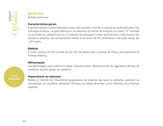 Jararaca
ORDEM

Ophidia           Bothrops jararacussu

                  Características gerais
                  A jararaca possui o corpo reforçado como o da cascavel, o focinho e a ponta da cauda pontudos. Sua
                  coloração é escura, na qual observa-se um desenho em forma de triangulo ou a letra “V” invertida
                  na cor preta ou castanho-escura. O restante da coloração é muito parecida com a dos troncos das
                  árvores e arbustos. Seu comprimento médio é em torno de 80 centímetros, mas pode atingir até
                  1,50 metro.

                  Habitat
                  É muito comum do Rio Grande do Sul, Rio de Janeiro até o Sudeste de Minas, principalmente na
                  Floresta Atlântica.

                  Alimentação
                  Sua alimentação varia conforme a idade. Quando jovem, alimenta-se de rãs, lagartixas e filhotes de
                  roedores; quando adulta, de roedores.

  Família         Importância na natureza
VIPERIDAE         Realiza o controle do crescimento populacional de espécies das quais se alimenta, ajudando na
                  manutenção do equilíbrio ambiental. Participa da cadeia alimentar como alimento para diversas
                  espécies.




            222
 