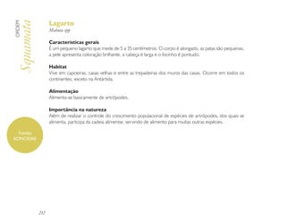 Lagarto
ORDEM

Squamata          Mabuia spp

                  Características gerais
                  É um pequeno lagarto que mede de 5 a 35 centímetros. O corpo é alongado, as patas são pequenas,
                  a pele apresenta coloração brilhante, a cabeça é larga e o focinho é pontudo.

                  Habitat
                  Vive em capoeiras, casas velhas e entre as trepadeiras dos muros das casas. Ocorre em todos os
                  continentes, exceto na Antártida.

                  Alimentação
                  Alimenta-se basicamente de artrópodes.

                  Importância na natureza
                  Além de realizar o controle do crescimento populacional de espécies de artrópodes, dos quais se
                  alimenta, participa da cadeia alimentar, servindo de alimento para muitas outras espécies.

  Família
SCINCIDAE




            212
 