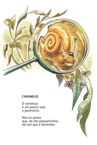 CARAMUJO
O caramujo
é um pouco sujo
e gosmento.
Mas eu penso
que, de tão pequenininho,
ele até que é bonitinho.
 