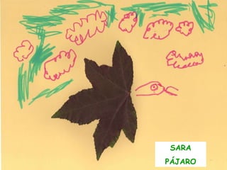 SARA PÁJARO