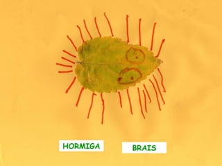 HORMIGA BRAIS