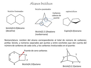 Alcanos bicíclicos
biciclos fusionados
biciclos puenteados
espirocíclicos
Carbonos
cabezas de
puente
biciclo[4.4.0]decano
(decalina) Biciclo[2.2.1]heptano
(norbornano)
Espiro[4.4]nonano
Nomenclatura: nombre del alcano correspondiente al total de número de carbonos;
prefijo: biciclo, y números separados por puntos y entre corchetes que dan cuenta del
número de carbonos de cada ciclo, y los carbonos involucrados en el puente:
1
2
3
4
1
2
Puente de cero carbonos
Biciclo[4.2.0]octano
1
2
1
23
1
Biciclo[3.2.1]octano
 