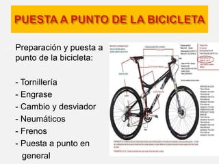 Después de la salida: - Ducha. - Reponer energías comiendo lo necesario. - Realizar ejercicios de estiramientos y no descuides la flexibilidad. - Limpiar la bici y engrasa los componentes que lo precisen. 
