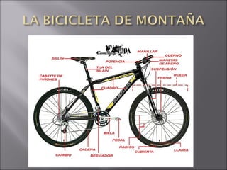Bicicletamontaa 1227803964133441-9