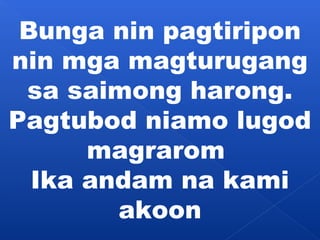 Bunga nin pagtiripon 
nin mga magturugang 
sa saimong harong. 
Pagtubod niamo lugod 
magrarom 
Ika andam na kami 
akoon 
 