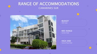 BUDGET
CBD Hotel
MID-RANGE
Carmen Hotel
HIGH-END
Avenue Plaza Hotel
RANGE OF ACCOMMODATIONS
CAMARINES SUR
 