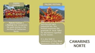 CAMARINES
NORTE
Pabirik Festival is
a festival that recognizes
the gold mining in the
territory of Camarines
Norte.
PABIRIK
FESTIVAL
Higlighted by a street
dancing and agro
industrial fair, this
festival expresses the
gratitude of local folks'
for abundance signified
by the rooster.
It is also held in
celebration of their Black
Nazarene's Feast Day on
May 13.
PALONG FESTIVAL
 