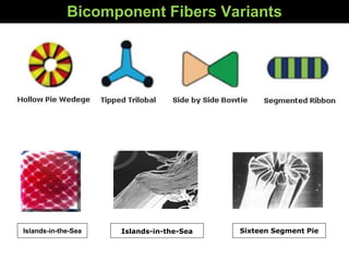 Bicomponent Fibers Variants
Islands-in-the-Sea Islands-in-the-Sea Sixteen Segment Pie
 