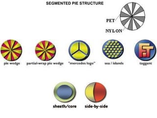 SEGMENTED PIE STRUCTURE
 