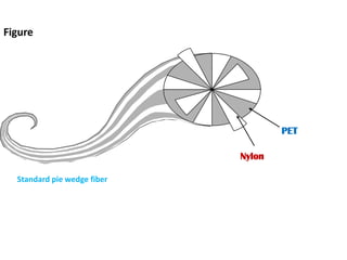 PET
Nylon
Figure
Standard pie wedge fiber
 