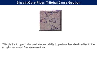 Sheath/Core Fiber, Trilobal Cross-Section
This photomicrograph demonstrates our ability to produce low sheath ratios in the
complex non-round fiber cross-sections.
 