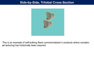 This is an example of self-bulking fibers commercialized in products where complex
jet texturing has historically been required
Side-by-Side, Trilobal Cross-Section
 