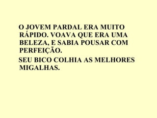 O JOVEM PARDAL ERA MUITO RÁPIDO. VOAVA QUE ERA UMA BELEZA, E SABIA POUSAR COM PERFEIÇÃO. SEU BICO COLHIA AS MELHORES MIGALHAS. 