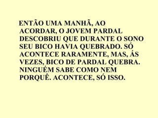 ENTÃO UMA MANHÃ, AO ACORDAR, O JOVEM PARDAL DESCOBRIU QUE DURANTE O SONO SEU BICO HAVIA QUEBRADO. SÓ ACONTECE RARAMENTE, MAS, ÁS VEZES, BICO DE PARDAL QUEBRA. NINGUÉM SABE COMO NEM PORQUÊ. ACONTECE, SÓ ISSO. 