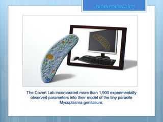 The Covert Lab incorporated more than 1,900 experimentally
observed parameters into their model of the tiny parasite
Mycoplasma genitalium.
BIOINFORMATICS
 