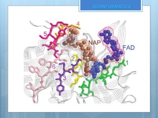 BIOINFORMATICS
 