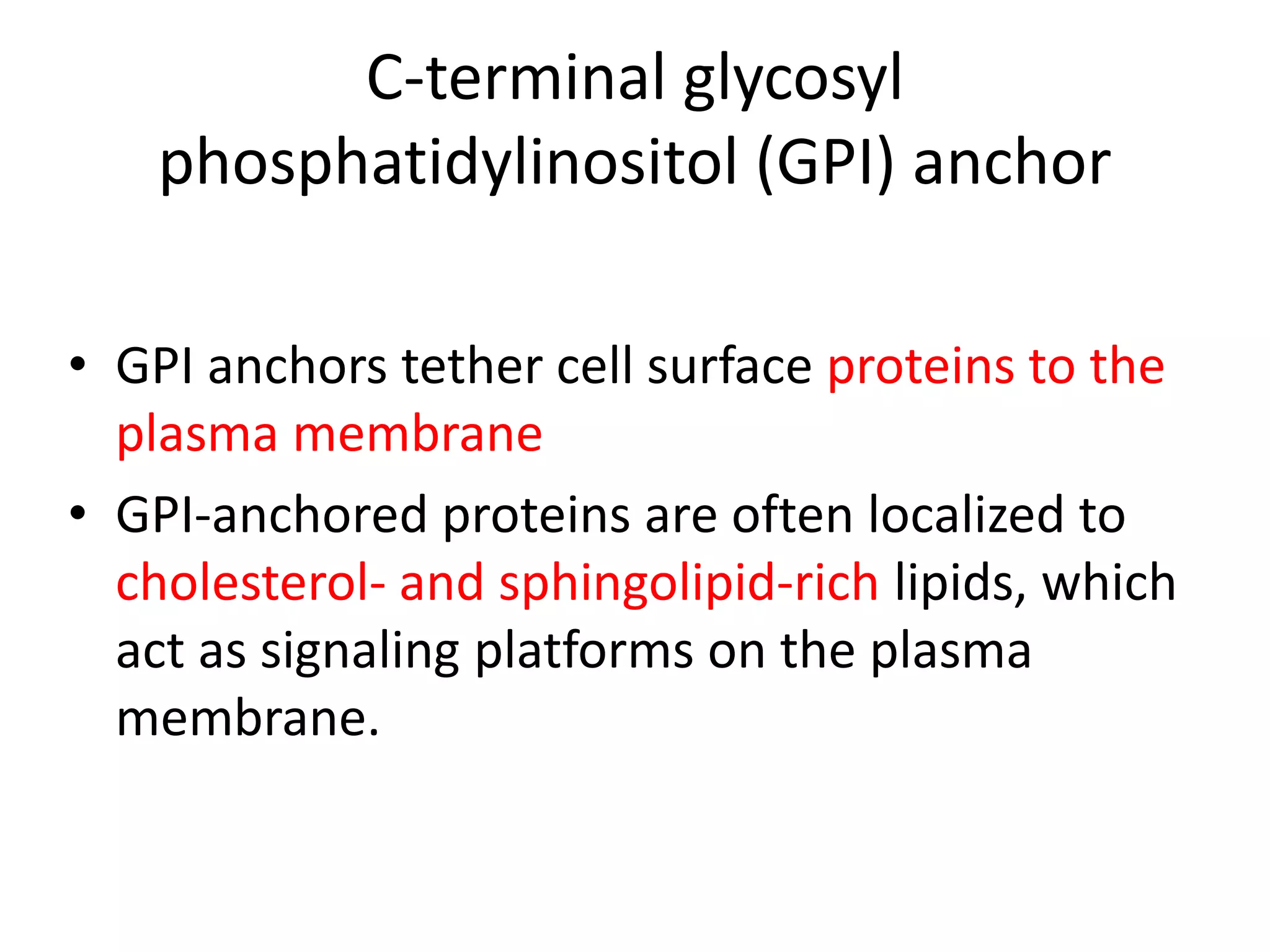 post translational modifications of protein | PPTX
