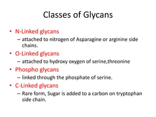• N-Linked glycans
– attached to nitrogen of Asparagine or arginine side
chains.
• O-Linked glycans
– attached to hydroxy oxygen of serine,threonine
• Phospho glycans
– linked through the phosphate of serine.
• C-Linked glycans
– Rare form, Sugar is added to a carbon on tryptophan
side chain.
Classes of Glycans
 