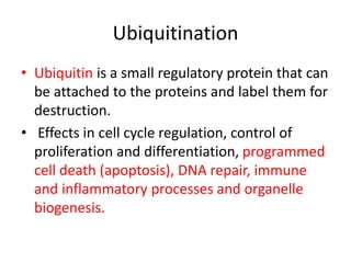 • Ubiquitin is a small regulatory protein that can
be attached to the proteins and label them for
destruction.
• Effects in cell cycle regulation, control of
proliferation and differentiation, programmed
cell death (apoptosis), DNA repair, immune
and inflammatory processes and organelle
biogenesis.
Ubiquitination
 