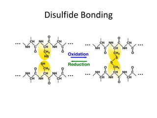 Disulfide Bonding
 