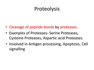 • Cleavage of peptide bonds by proteases.
• Examples of Proteases- Serine Proteases,
Cysteine Proteases, Aspartic acid Proteases.
• Involved in Antigen processing, Apoptosis, Cell
signalling
Proteolysis
 