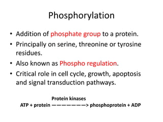 • Addition of phosphate group to a protein.
• Principally on serine, threonine or tyrosine
residues.
• Also known as Phospho regulation.
• Critical role in cell cycle, growth, apoptosis
and signal transduction pathways.
Phosphorylation
Protein kinases
ATP + protein ———————> phosphoprotein + ADP
 