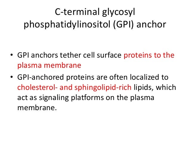 Protein Post Translational Modification Ppt - 8 Post translational modifications - YouTube : Post translational modification presentation transcript: