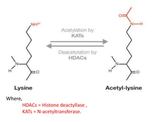 Post translational modifications | PDF