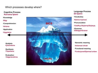 Which processes develop where?
 Cognitive Process                          Language Process
 Kavrama İşlemi                             Dil İşlemi
•Knowledge                                  •Vocabulary

•Bilgi                                      •Kelime hazinesi
                                            •Pronunciation
•Comprehension                       BICS
•Anlama                                     •Telaffuz,/Söyleniş/Söyleyiş

•Application                                •Grammar
                                            •Dilbilgisi/Gramer
•Uygulama




   •Analysis                                 •Semantic meaning
   •Çözümleme                                •Anlamsal olmak

   •Synthesis                                •Functional meaning
   •Toparlama                                •Fonksiyonel/İşlemsel anlam

   •Evaluation
   • Değerlendirme
                                    CALPs
 