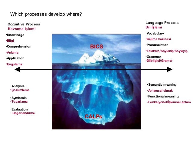 Bics Calp Presentation Kelami Dedezade pps