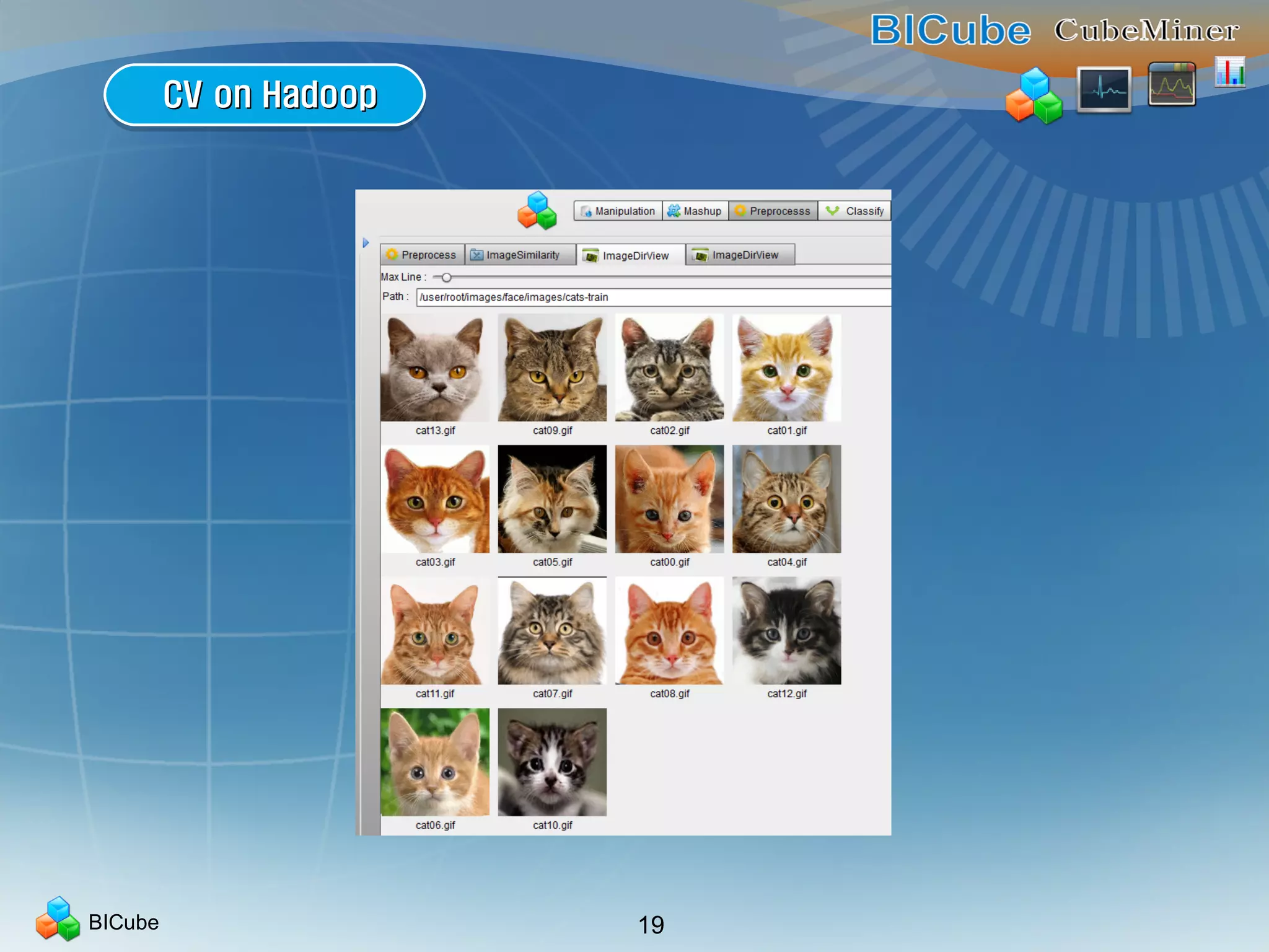 BICube 19
CV on HadoopCV on HadoopCV on HadoopCV on Hadoop
 