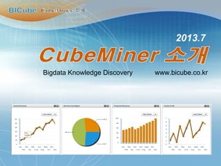 2013.7
www.bicube.co.krBigdata Knowledge Discovery
 