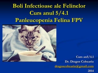 Boli Infectioase ale Felinelor
Curs anul 5/4.1
Panleucopenia Felina FPV
010091551263
Curs an5/4.1
Dr. Dragos Cobzariu
dragoscobzariu@gmail.com
2014
 
