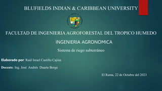 BLUFIELDS INDIAN & CARIBBEAN UNIVERSITY
FACULTAD DE INGENIERIA AGROFORESTAL DEL TROPICO HUMEDO
INGENIERIA AGRONOMICA
Sistema de riego subterráneo
Elaborado por: Raúl Israel Castillo Cajina
Docente: Ing. José Andrés Duarte Borge
El Rama, 22 de Octubre del 2023
 