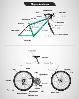 Bicycle Anatomy.pdf