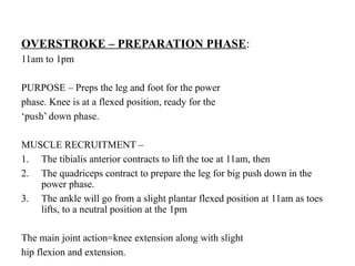 OVERSTROKE – PREPARATION PHASE:
11am to 1pm
PURPOSE – Preps the leg and foot for the power
phase. Knee is at a flexed position, ready for the
‘push’ down phase.
MUSCLE RECRUITMENT –
1. The tibialis anterior contracts to lift the toe at 11am, then
2. The quadriceps contract to prepare the leg for big push down in the
power phase.
3. The ankle will go from a slight plantar flexed position at 11am as toes
lifts, to a neutral position at the 1pm
The main joint action=knee extension along with slight
hip flexion and extension.
 