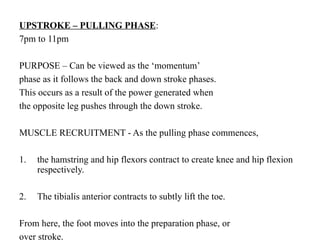 UPSTROKE – PULLING PHASE:
7pm to 11pm
PURPOSE – Can be viewed as the ‘momentum’
phase as it follows the back and down stroke phases.
This occurs as a result of the power generated when
the opposite leg pushes through the down stroke.
MUSCLE RECRUITMENT - As the pulling phase commences,
1. the hamstring and hip flexors contract to create knee and hip flexion
respectively.
2. The tibialis anterior contracts to subtly lift the toe.
From here, the foot moves into the preparation phase, or
over stroke.
 